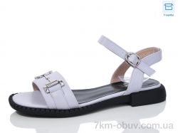 Hongquan B12-6 фото