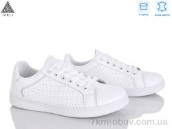 STILLI Group S10-2 шкіра фото