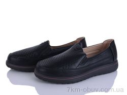 Lion-Lu 2024-56 фото