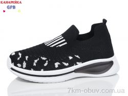 GFB-Канарейка X8031-1 фото