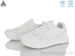 STILLI Group G160-2 шкіра фото