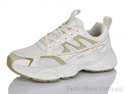 Ditof B0067-2 фото