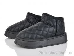 Lion-Lu CL2503 фото