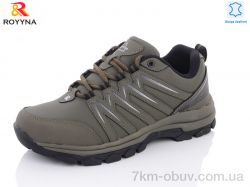 ROYYNA 077BB-43 фото