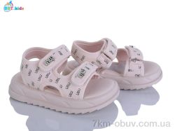 BBT L861-2-5 фото