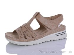 Коронате 165-3 фото