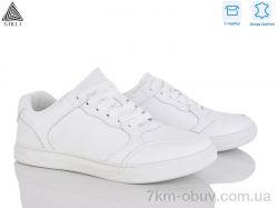 STILLI Group L60-1 шкіра фото