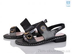 Victoria C19-1 фото