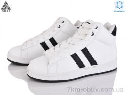 STILLI Group HB930-5 шкіра піна фото