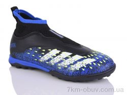 ASHIGULI 289A-2 фото