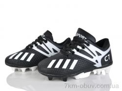 ASHIGULI C22-1 фото