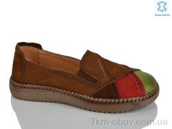 Teetspace-Trasta-Egga WDP2035-5 фото