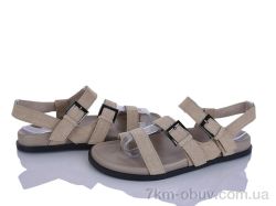 Loretta E748-5 фото