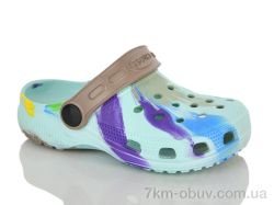 Inblue H3 папуга бірюза фото