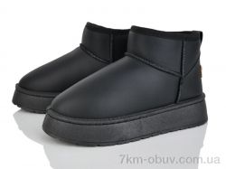 Lion-Lu CL2501 фото