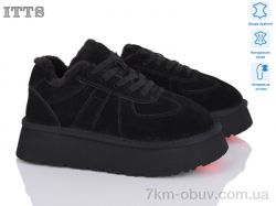 ITTS F281-1 фото