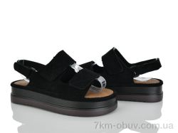 Loretta Y095 фото