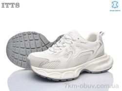 ITTS NB911-4 фото