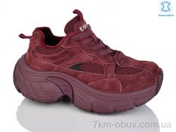 Teetspace-Trasta-Egga WDP1889-58 фото