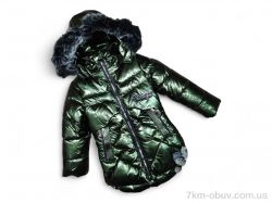 Kids-modnik NK2003 зелений фото