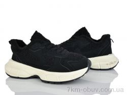 AAPR-Kaker CE33-1 фото