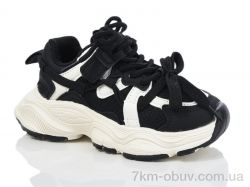 ASHIGULI 2045-1 фото