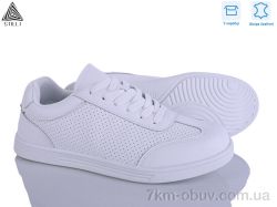 STILLI Group L130-1 шкіра фото