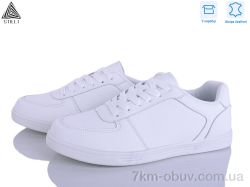 STILLI Group L150-1 шкіра фото