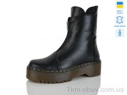 Carolina AP6881-1 фото