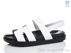 Hongquan K53-6 фото