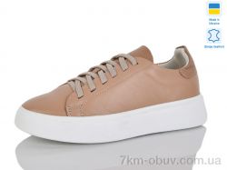 Carolina AP162-3 фото