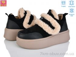 PLPS 6804-1 фото