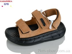 GFB-Канарейка T63-4 фото