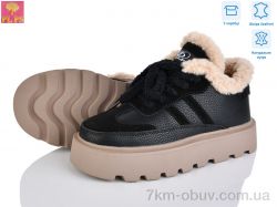 PLPS 2806-1 фото