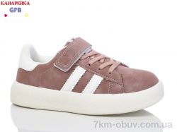 GFB-Канарейка X8085-8 фото