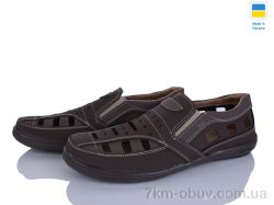 Paolla Sunshine Р3 коричнево-шоколадний фото