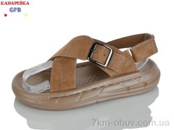 GFB-Канарейка R85-3 фото