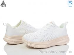 STILLI Group CX1160-6 піна фото