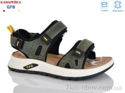 GFB-Канарейка R826-7 фото
