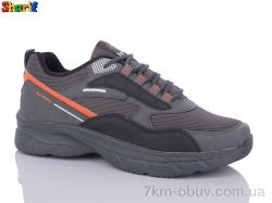 Sharif 4233-2 фото