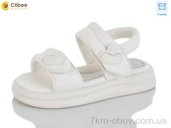 Clibee-Apawwa ZB170-2 фото