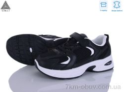 STILLI KIDS TQ50-4 шкіра фото