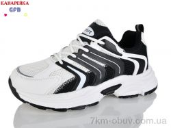 GFB-Канарейка Q570-3 фото