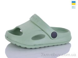 SANLIN 2 H8 олива фото