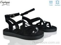 Dageni F201-8 фото