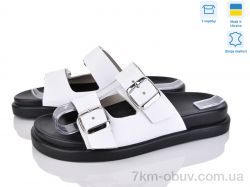 Ailinda 307-81 фото