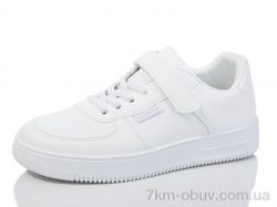 L.Fairy 555-2 фото