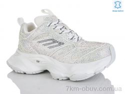 Teetspace-Trasta-Egga WDP1905-26 фото