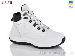 Aba YB6645-4 фото