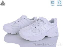 STILLI KIDS TQ80-6 шкіра фото